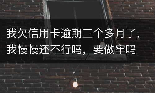 我欠信用卡逾期三个多月了，我慢慢还不行吗，要做牢吗