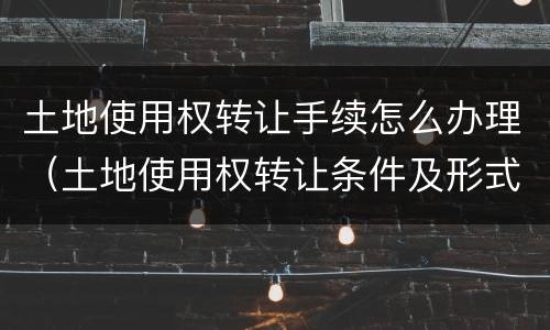 土地使用权转让手续怎么办理（土地使用权转让条件及形式）