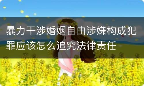 暴力干涉婚姻自由涉嫌构成犯罪应该怎么追究法律责任