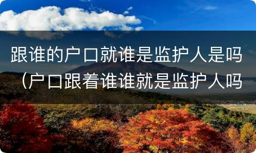跟谁的户口就谁是监护人是吗（户口跟着谁谁就是监护人吗）