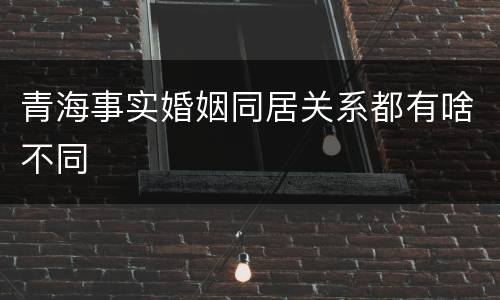 青海事实婚姻同居关系都有啥不同