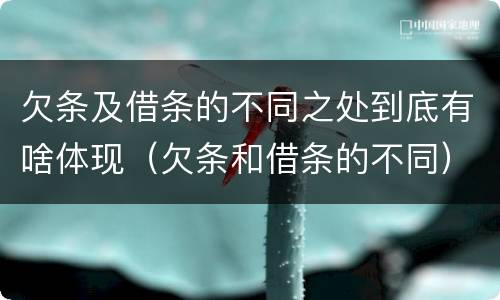 欠条及借条的不同之处到底有啥体现（欠条和借条的不同）