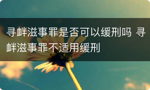 寻衅滋事罪是否可以缓刑吗 寻衅滋事罪不适用缓刑