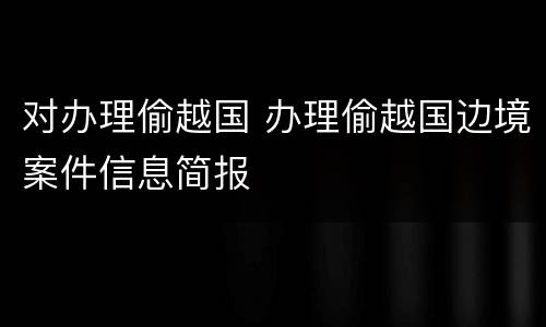 对办理偷越国 办理偷越国边境案件信息简报