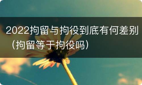2022拘留与拘役到底有何差别（拘留等于拘役吗）