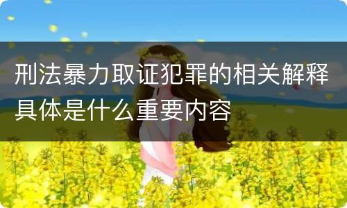 刑法暴力取证犯罪的相关解释具体是什么重要内容