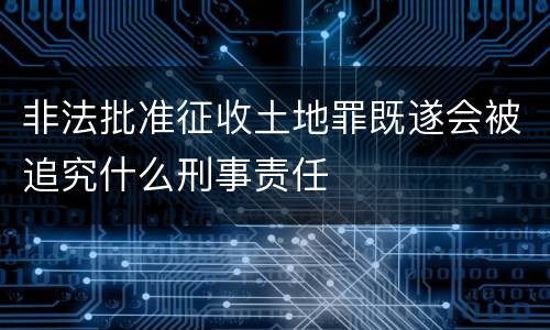 非法批准征收土地罪既遂会被追究什么刑事责任