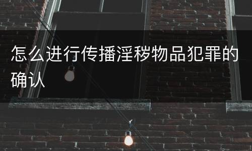 怎么进行传播淫秽物品犯罪的确认