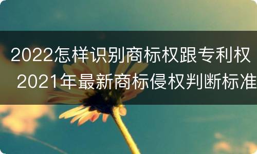 2022怎样识别商标权跟专利权 2021年最新商标侵权判断标准