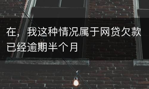 在，我这种情况属于网贷欠款已经逾期半个月