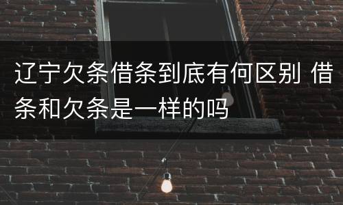 辽宁欠条借条到底有何区别 借条和欠条是一样的吗