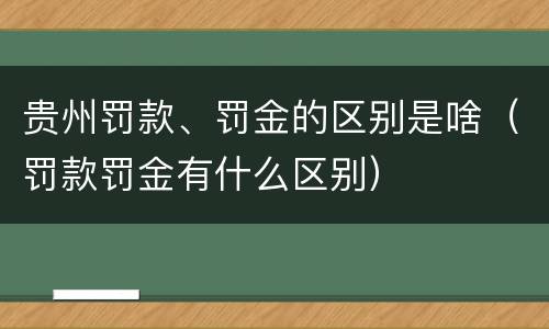 贵州罚款、罚金的区别是啥（罚款罚金有什么区别）