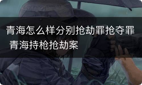 青海怎么样分别抢劫罪抢夺罪 青海持枪抢劫案
