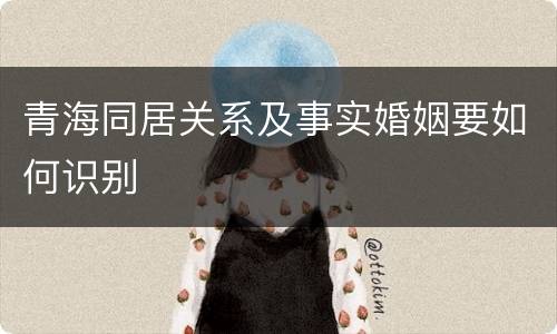 青海同居关系及事实婚姻要如何识别