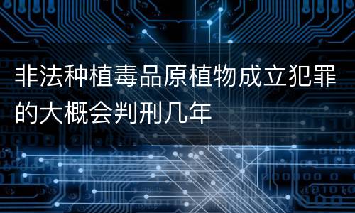 非法种植毒品原植物成立犯罪的大概会判刑几年