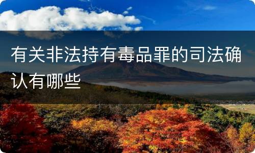 有关非法持有毒品罪的司法确认有哪些