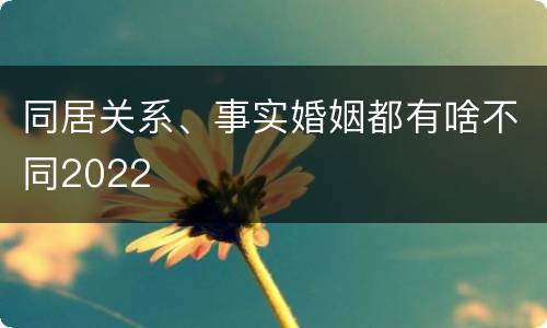 同居关系、事实婚姻都有啥不同2022