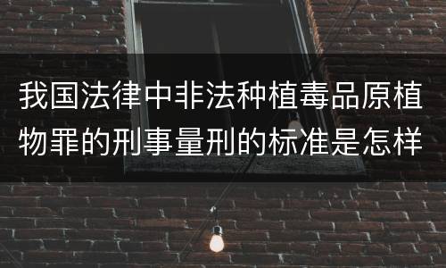 我国法律中非法种植毒品原植物罪的刑事量刑的标准是怎样的