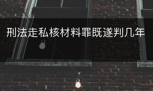 刑法走私核材料罪既遂判几年