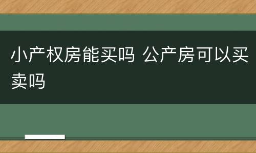 小产权房能买吗 公产房可以买卖吗