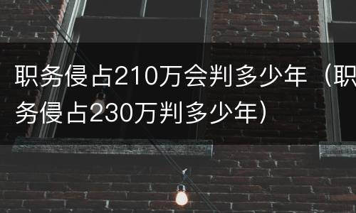 职务侵占210万会判多少年（职务侵占230万判多少年）