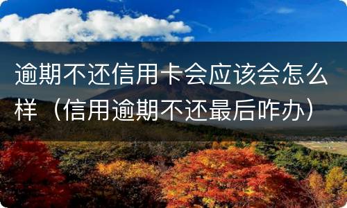 逾期不还信用卡会应该会怎么样（信用逾期不还最后咋办）