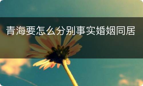 青海要怎么分别事实婚姻同居