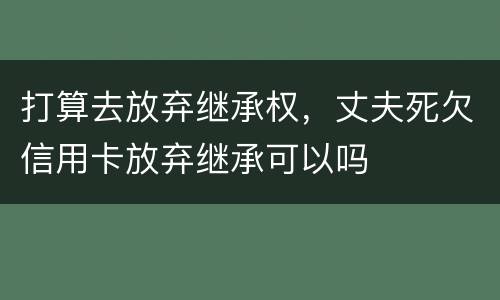 打算去放弃继承权，丈夫死欠信用卡放弃继承可以吗