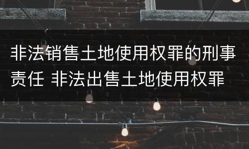 非法销售土地使用权罪的刑事责任 非法出售土地使用权罪