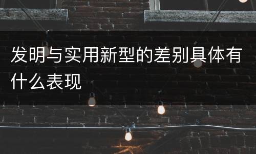 发明与实用新型的差别具体有什么表现