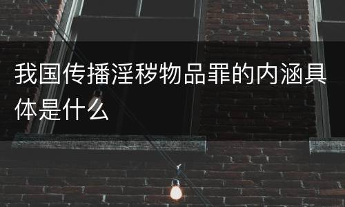 我国传播淫秽物品罪的内涵具体是什么