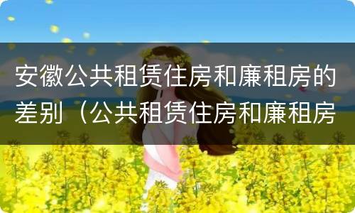 安徽公共租赁住房和廉租房的差别（公共租赁住房和廉租房的区别）