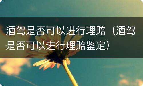 酒驾是否可以进行理赔（酒驾是否可以进行理赔鉴定）