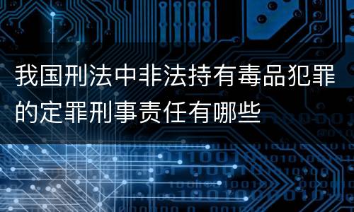 我国刑法中非法持有毒品犯罪的定罪刑事责任有哪些