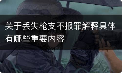 关于丢失枪支不报罪解释具体有哪些重要内容