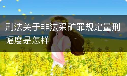 刑法关于非法采矿罪规定量刑幅度是怎样