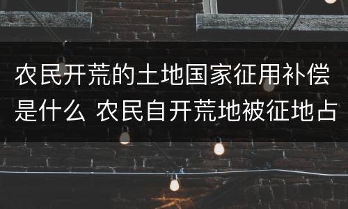 农民开荒的土地国家征用补偿是什么 农民自开荒地被征地占用,给农民补偿吗?