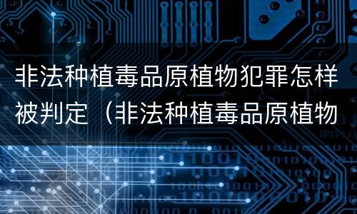 非法种植毒品原植物犯罪怎样被判定（非法种植毒品原植物罪中的种植行为）