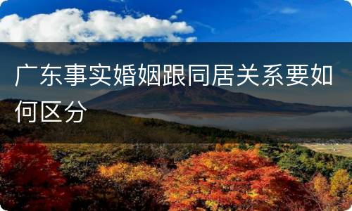 广东事实婚姻跟同居关系要如何区分