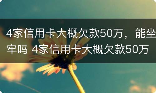 4家信用卡大概欠款50万，能坐牢吗 4家信用卡大概欠款50万,能坐牢吗知乎