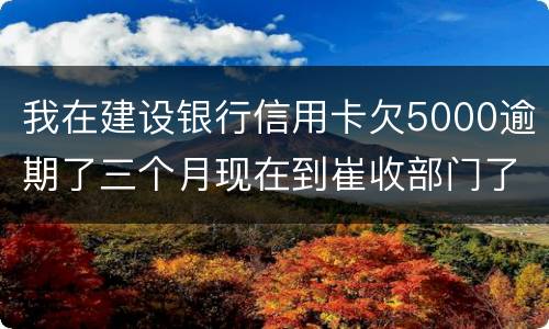 我在建设银行信用卡欠5000逾期了三个月现在到崔收部门了他们要起诉我应该怎么办