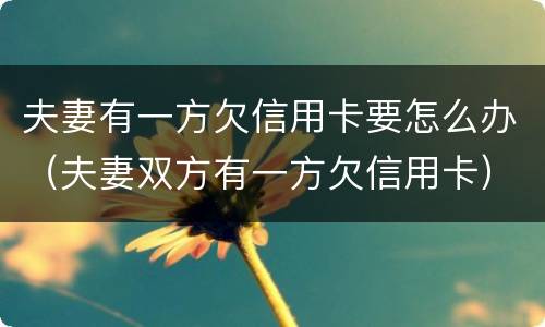 夫妻有一方欠信用卡要怎么办（夫妻双方有一方欠信用卡）