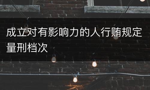 成立对有影响力的人行贿规定量刑档次