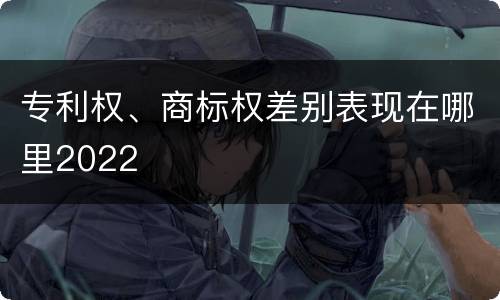 专利权、商标权差别表现在哪里2022