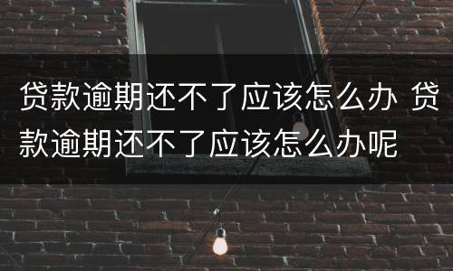 贷款逾期还不了应该怎么办 贷款逾期还不了应该怎么办呢