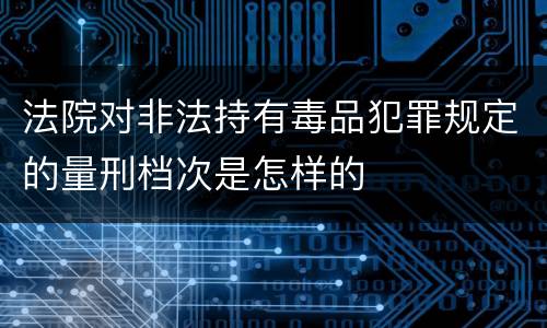 法院对非法持有毒品犯罪规定的量刑档次是怎样的