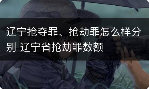 辽宁抢夺罪、抢劫罪怎么样分别 辽宁省抢劫罪数额