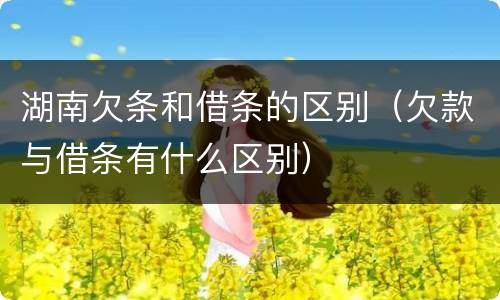 湖南欠条和借条的区别（欠款与借条有什么区别）
