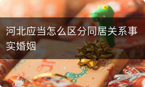 河北应当怎么区分同居关系事实婚姻