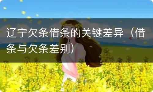 辽宁欠条借条的关键差异（借条与欠条差别）